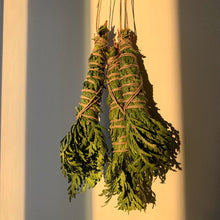 Load image into Gallery viewer, CEDAR WANDS