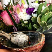 Load image into Gallery viewer, ABALONE SHELLS