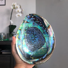Load image into Gallery viewer, ABALONE SHELLS