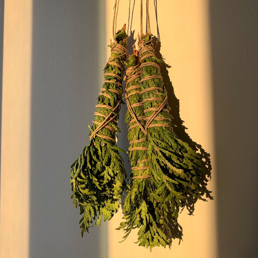 CEDAR WANDS
