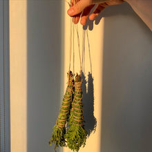 Load image into Gallery viewer, CEDAR WANDS
