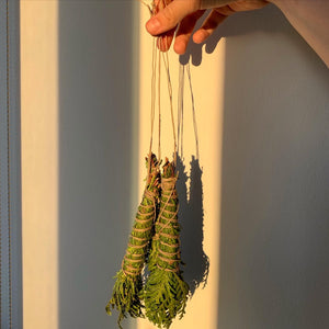 CEDAR WANDS