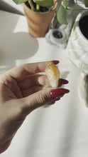 Load and play video in Gallery viewer, RAW CITRINE POINTS

